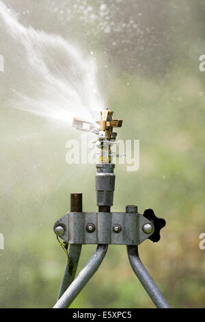 Rain Bird einstellbar Messing Auswirkungen Rotor Sprinklerhead senden einen Strom von Wasser nach vorne und nach links Stockfoto