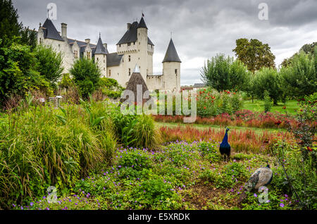 Blick auf den Park des Schlosses des Schlosses in Frankreich Stockfoto