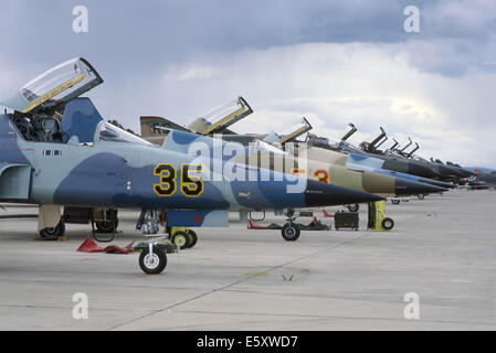 Decimomannu NATO Air Base (Sardinien, Italien), F 5 Aggressor USA Kämpfer sowjetische Flugzeuge in der Luft bekämpfen Übungen simulieren Stockfoto