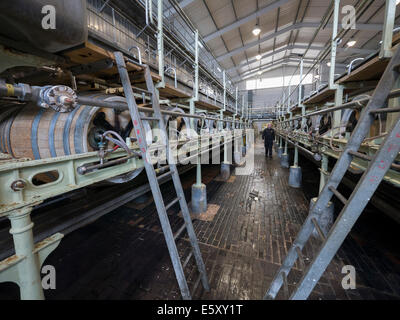 Marstons Stammbaum Brauerei, Burton-On-Trent, Staffordshire Stockfoto