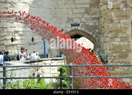 Bloodswept Länder und Meere rot, Tausende von Keramik Mohnblumen Künstlers Paul Cummins in den Tower von London WW1-Denkmal Stockfoto