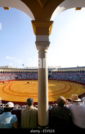 Stierkampf während der Feria de Abril in Sevilla Fair, die Plaza de Toros de la Real Maestranza de Caballería de Sevilla Stierkampfarena, Sevilla, Spanien Stockfoto