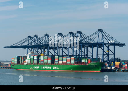 Ein China Shipping Line Schiff im Hafen von Felixstowe in der Nähe von Harwich, Engliand Stockfoto