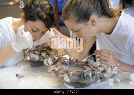 Sassuolo (Emilia-Romagna, Italien) Restaurierung des Kulturerbes durch Erdbeben beschädigt, im Jahr 2012 Stockfoto