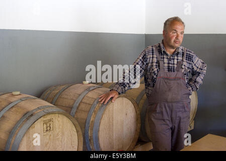 Bulgarien Yambol 8. August 2014: Tausend Jahre alten Wein machen Traditionen weiterhin hoher Qualität liefern, lokale Weinproduzenten sind ständig die Qualität der Weine mit Hilfe eines nationalen Programms der Unterstützung für die Industrie von 2014 bis 2018.  Kleine Familie Wein-Yards-Verkäufe sind auf die erhöhte um 10 Prozent über dem Vorjahr den Inlands- und touristischen Markt. © Clifford Norton/Alamy Live-Nachrichten Stockfoto