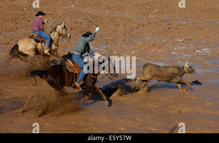 Stock Bild von zwei Cowboys auf Pferden, die versuchen, eine Kalb bei einem schlammigen Rodeo Seil. Stockfoto