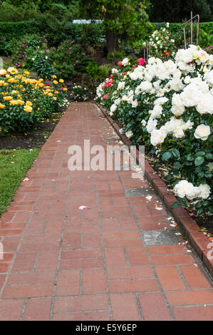 Ein Ziegelstein-Weg führt durch einen Rosengarten Stockfoto