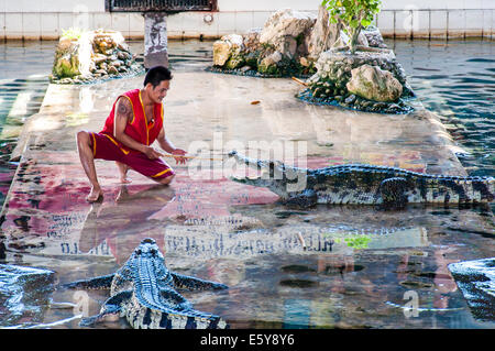 Krokodil zeigen bei Samphran Crocodile Farm am 24. Mai 2014 in Nakhon Pathom, Thailand. Stockfoto