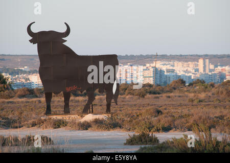 Osborne Stier Stockfoto