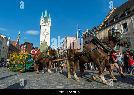 Ein Wagen, der mit Blumen geschmückt ist beteiligt sich an der traditionellen Trachtenumzug "Gaeubodenvolksfest" in der Innenstadt in Straubing, Deutschland, 8. August 2014. Die Kirmes dauert elf Tage mit sieben Partyzelten und 120 Schausteller. Rund 1,3 Millionen Besucher werden erwartet. Foto: Armin Weigel/dpa Stockfoto