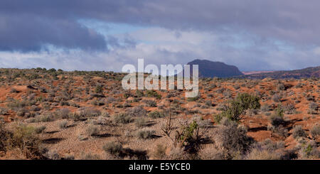Wolken über einer Wüste, Paria Canyon, Paria, Kane County, Utah, USA Stockfoto
