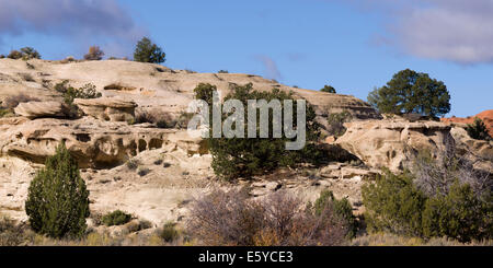 Felsen Formationen Paria Canyon, Paria, Kane County, Utah, USA Stockfoto