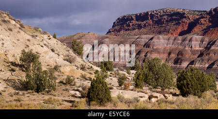 Paria Canyon, Paria, Kane County, Utah, USA Stockfoto
