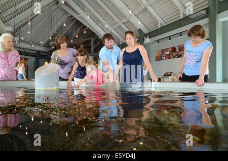 Das Huntsman Marine Aquarium, St. Andrews, New Brunswick Stockfoto