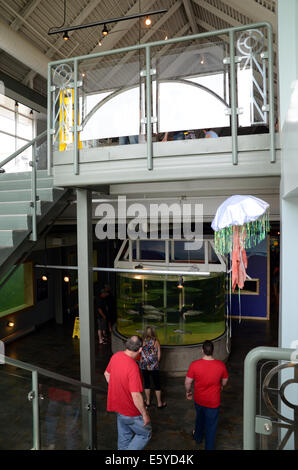 Das Huntsman Marine Aquarium, St. Andrews, New Brunswick Stockfoto