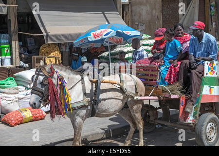 Horse & Cart, Langue de Barbarie, St. Louis, Senegal Stockfoto