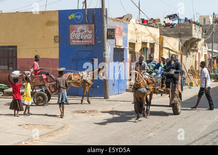 Pferd und Wagen, Langue de Barbarie, St. Louis, Senegal Stockfoto