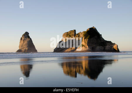 Rock wölbt sich am Beach, Cape Farewell, Tasman, Nelson, Wharariki, Südinsel, Neuseeland Stockfoto