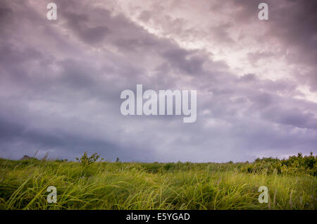 Stürmischen Wolken schweben über einer Wiese in einem hohen Bergrücken Stockfoto