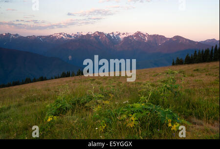 Teil der Olympic National Park die Sonne beginnt zu Hurrican Ridge getroffen Stockfoto