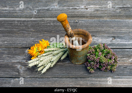 alten rostigen Eisen Mörtel und Heilkräuter auf alten hölzernen Hintergrund. Calendula, Ringelblume, wilden Majoran, Oregano und Weizen Ohren Stockfoto