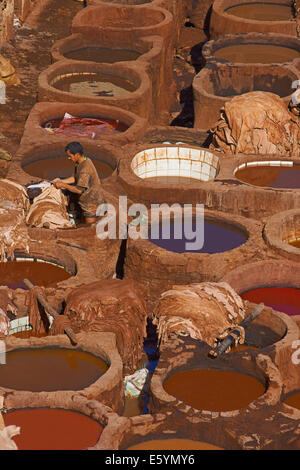 Fes, Fez, traditionellen Gerbereien mit sterbenden Bottiche, The Chouwara, Chouara, Gerberei, Old Town, Medina, UNESCO-Weltkulturerbe, Stockfoto