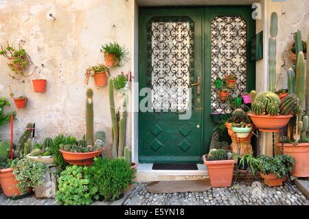 Einen hübschen grünen Tür, umgeben von einer Vielzahl von Kakteen und Sukkulenten auf einer gepflasterten Straße in Italien. Stockfoto