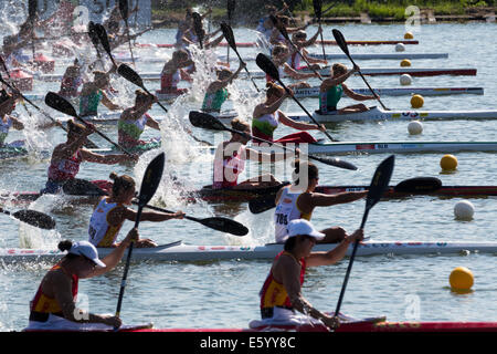 Moskau, Russland. 9. August 2014. Vierter Tag der ICF Canoe Sprint World Championships am Rudern Kanal in Krylatskoye, Moskau Stockfoto