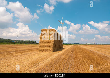 Heuhaufen und Windturbinen auf Ackerland im Sommer Stockfoto