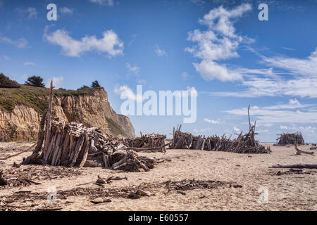 San Gregorio State Beach, San Mateo County, California, mit Treibholz Strukturen. Stockfoto