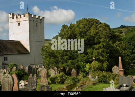 Defynnog Eibe, St Cynogs Kirchhof nr Sennybridge Powys Wales. 5.000 Jahre alter Baum ältester lebender Baum in UK HOMER SYKES Stockfoto