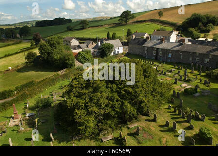 Yew Tree UK. Defynnog St Cynogs Churchyard Nr Sennybridge Powys Wales. 5.000 Jahre alter Baum, der älteste lebende Baum Großbritanniens. HOMER SYKES Stockfoto