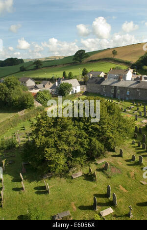 Defynnog Eibe, St Cynogs Kirchhof nr Sennybridge Powys Wales. 5.000 Jahre alter Baum ältester lebender Baum in UK HOMER SYKES Stockfoto