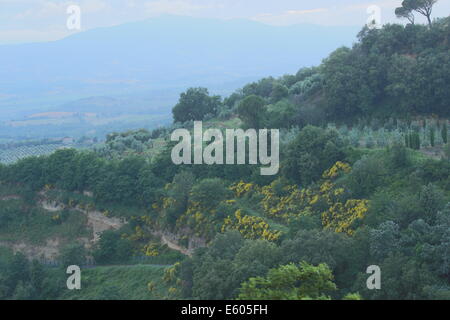 Typische italienische Landschaft in Monteleone d - Umbrien. Stockfoto