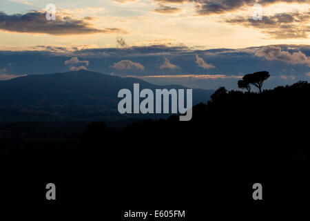 Typische italienische Landschaft in Monteleone d - Umbrien. Stockfoto