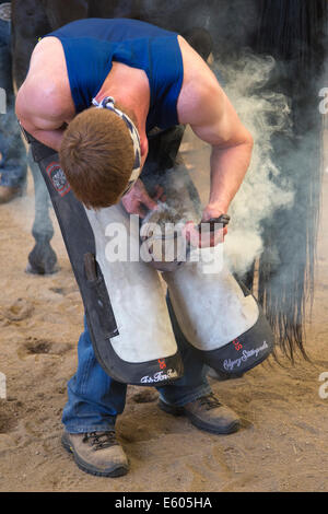 Hufschmied passend Blitzschuh zu Pferd beim konkurrieren in der letzten Runde des Wettbewerbs der Weltmeisterschaften Schmiede. Stockfoto