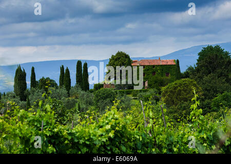 Typische italienische Landschaft in Monteleone d - Umbrien. Stockfoto