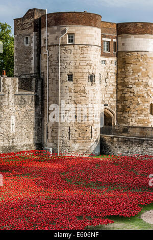 Anlässlich die Hundertjahrfeier des ersten Weltkrieges wurden Tausende von Keramik Mohnblumen in den Wassergraben des Tower of London platziert Stockfoto