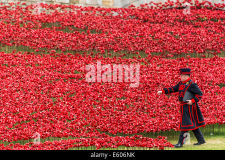 Ein Beefeater Spaziergänge durch ein Feld von Keramik Mohnblumen in den Tower of London in Erinnerung an den ersten Weltkrieg Stockfoto