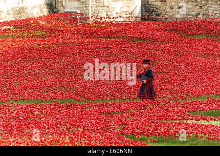 Ein Beefeater Spaziergänge durch ein Feld von Keramik Mohnblumen in den Tower of London in Erinnerung an den ersten Weltkrieg Stockfoto