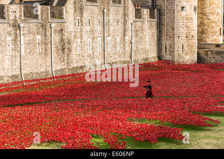 Ein Beefeater Spaziergänge durch ein Feld von Keramik Mohnblumen in den Tower of London in Erinnerung an den ersten Weltkrieg Stockfoto