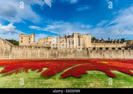 Anlässlich die Hundertjahrfeier des ersten Weltkrieges wurden Tausende von Keramik Mohnblumen in den Wassergraben des Tower of London platziert Stockfoto