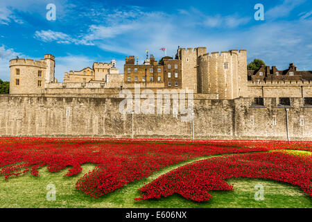 Anlässlich die Hundertjahrfeier des ersten Weltkrieges wurden Tausende von Keramik Mohnblumen in den Wassergraben des Tower of London platziert Stockfoto
