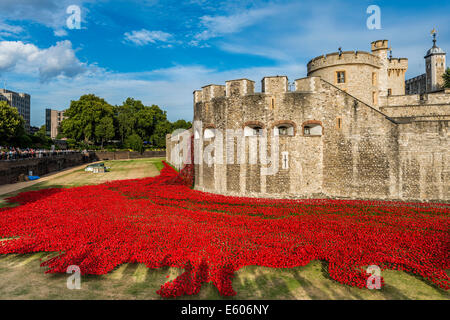 Anlässlich die Hundertjahrfeier des ersten Weltkrieges wurden Tausende von Keramik Mohnblumen in den Wassergraben des Tower of London platziert Stockfoto