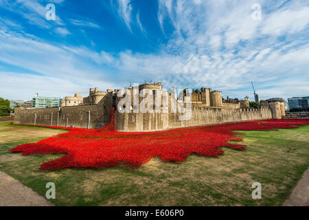 Anlässlich die Hundertjahrfeier des ersten Weltkrieges wurden Tausende von Keramik Mohnblumen in den Wassergraben des Tower of London platziert Stockfoto