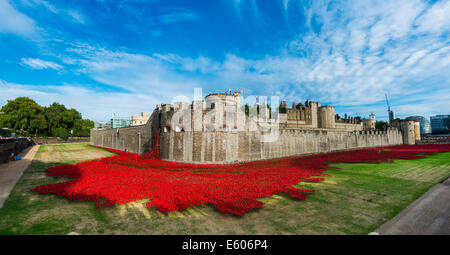 Anlässlich die Hundertjahrfeier des ersten Weltkrieges wurden Tausende von Keramik Mohnblumen in den Wassergraben des Tower of London platziert Stockfoto