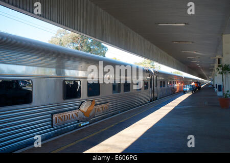 Der Indian Pacific Zug am Ostbahnhof Perth im August 2014 Stockfoto