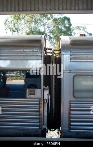 Der Indian Pacific Zug am Ostbahnhof Perth im August 2014 Stockfoto