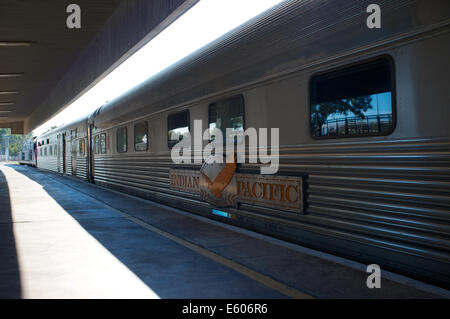 Der Indian Pacific Zug am Ostbahnhof Perth im August 2014 Stockfoto