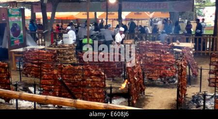 Racks von 'Chancho al Palo' (geräuchertes Schweinefleisch) kochen auf dem Mistura Food Festival in Lima, Peru, über offene Flammen Stockfoto